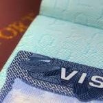 Understanding New Zealand Transit Visas and Overstay Consequences